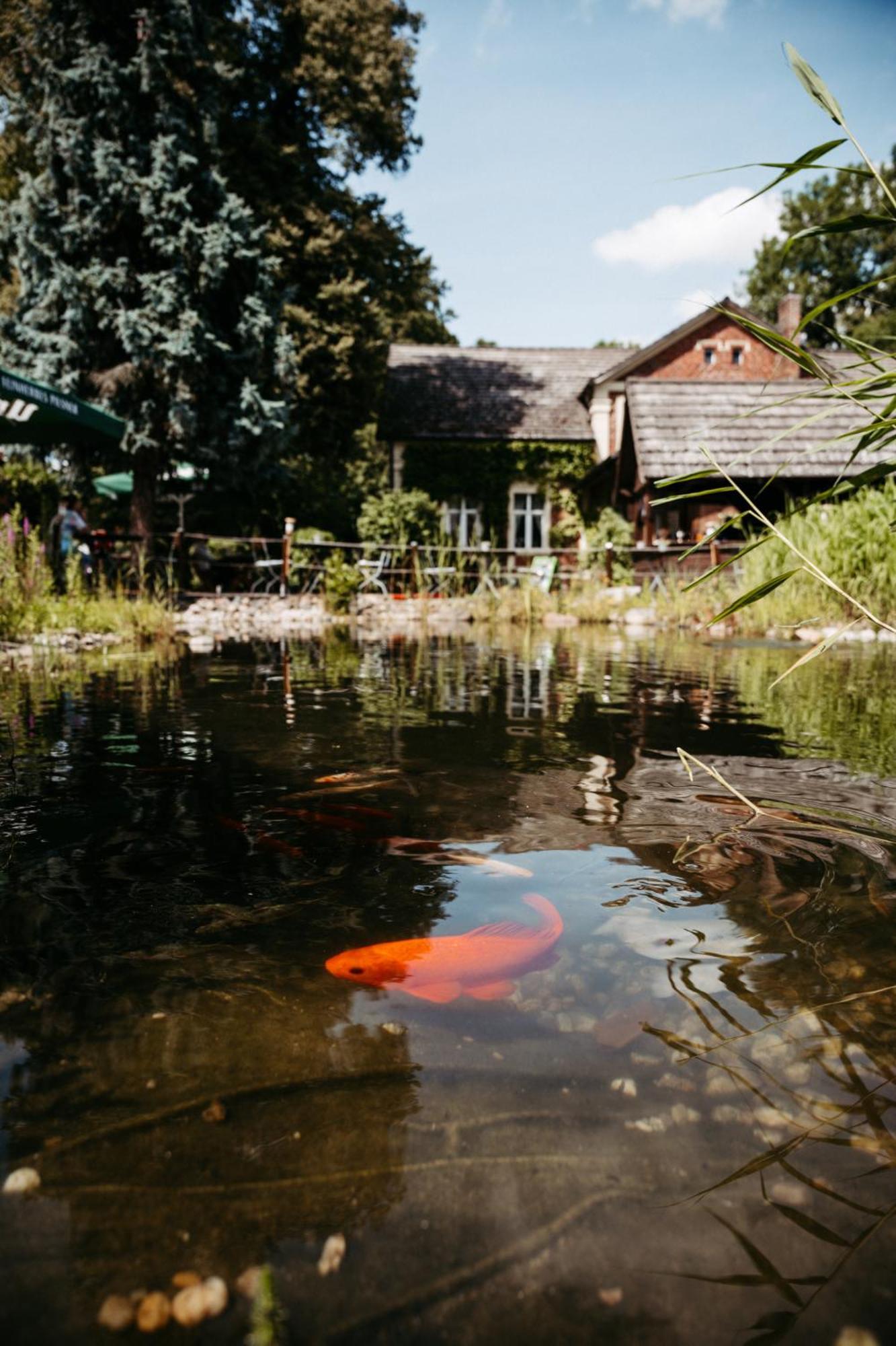 Hotel Kolonieschanke Burg  Kültér fotó